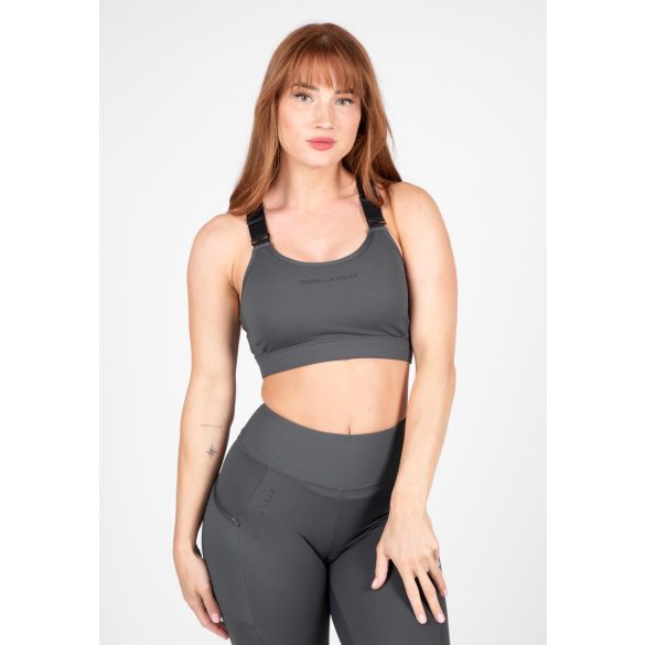 MONROE SPORTS BRA - GRAY